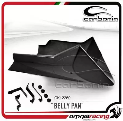 Carbonin Belly Pan Carbon Fiber For Kawasaki Z750 2007>2008 • $312.43